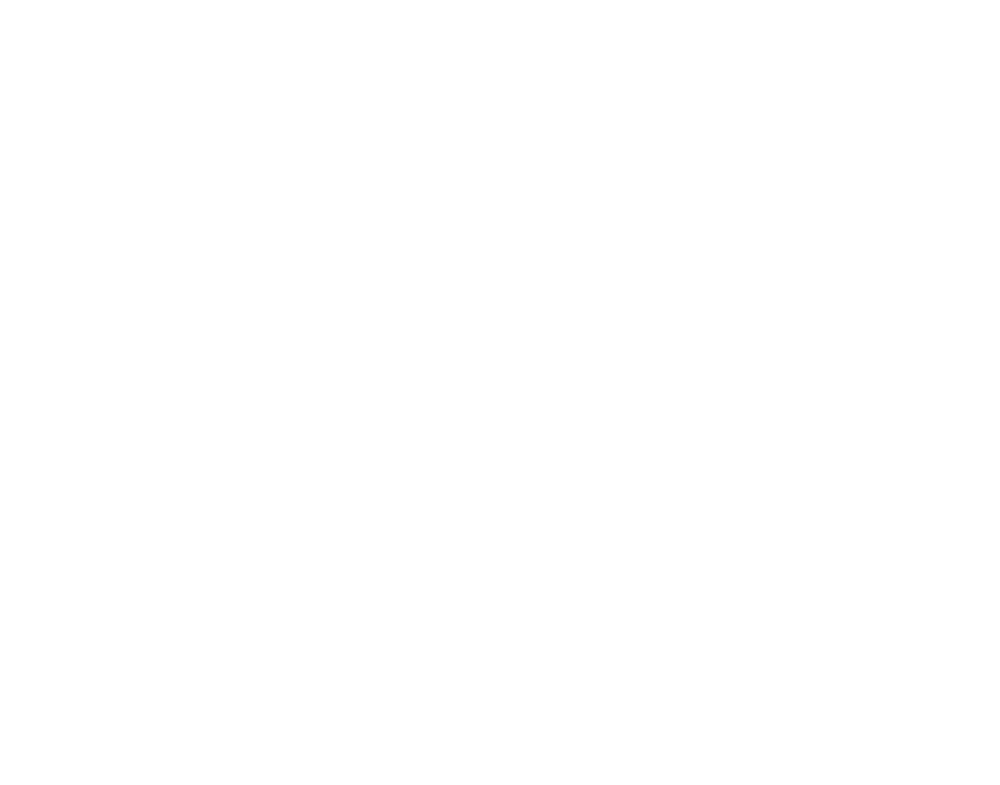 Delfin Services